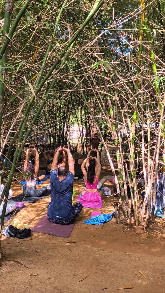 Yoga under the bamboo